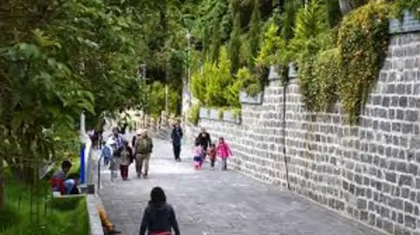 imagen Categoría General